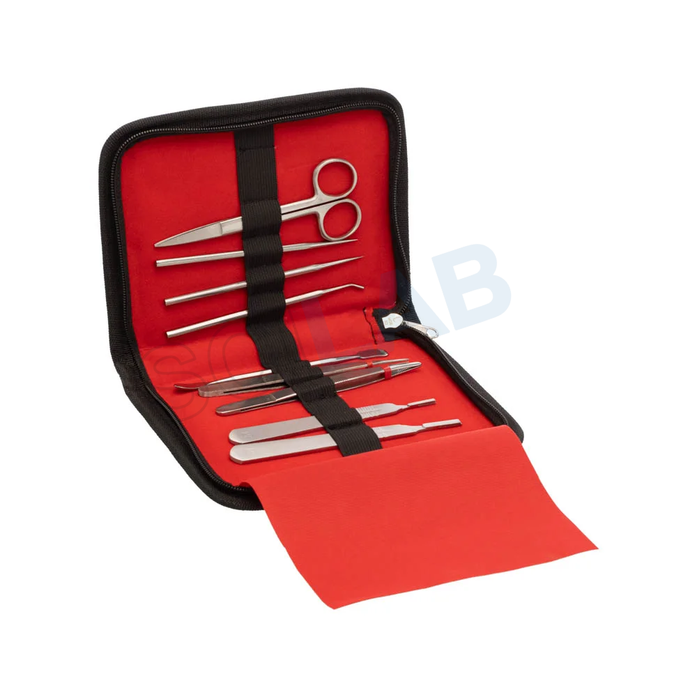 Dissecting Instruments, Scilabex Dissecting Tools, Biology Lab Instruments, Anatomy Dissection Set, Medical Dissection Instruments, Stainless Steel Dissecting Kit, Educational Lab Equipment, Laboratory Dissection Tools, Surgical Dissection Instrument
