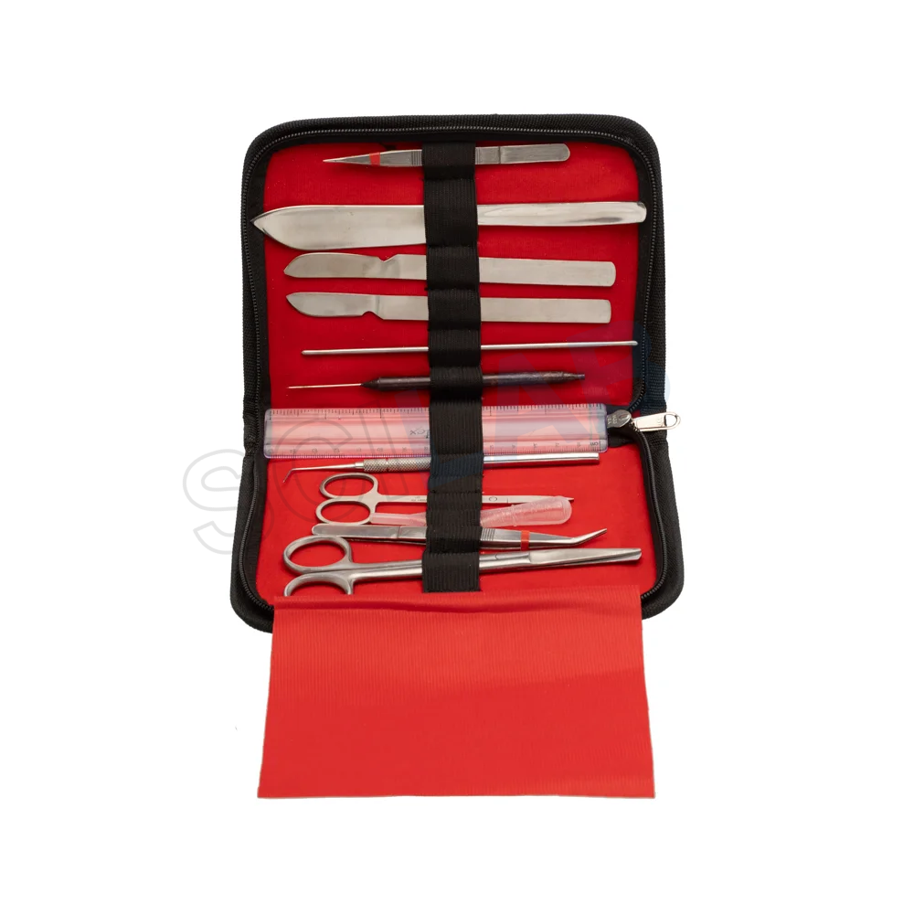 Dissecting Set, Intermediate