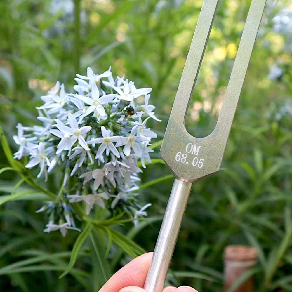 68.05 Hz Weighted Tuning Fork - Earth Star