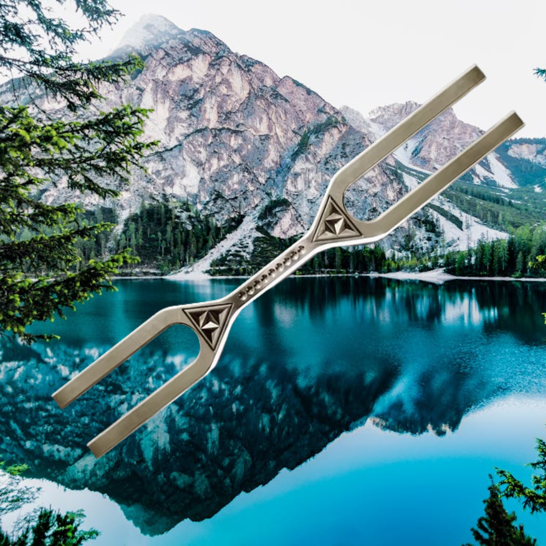 Sound Therapy Giant Tuning Fork 342Hz 512Hz